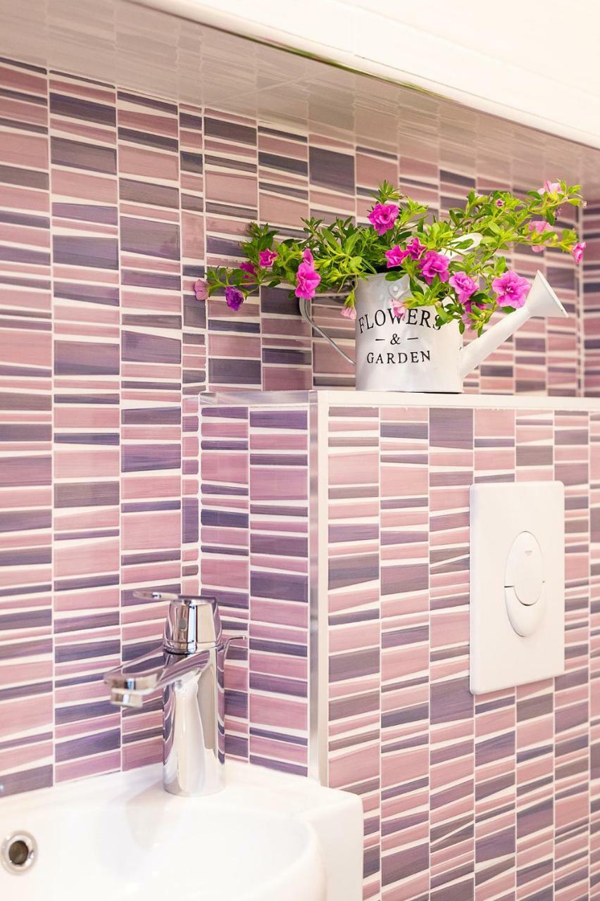Apartment Auretta Novigrad Istria Eksteriør billede