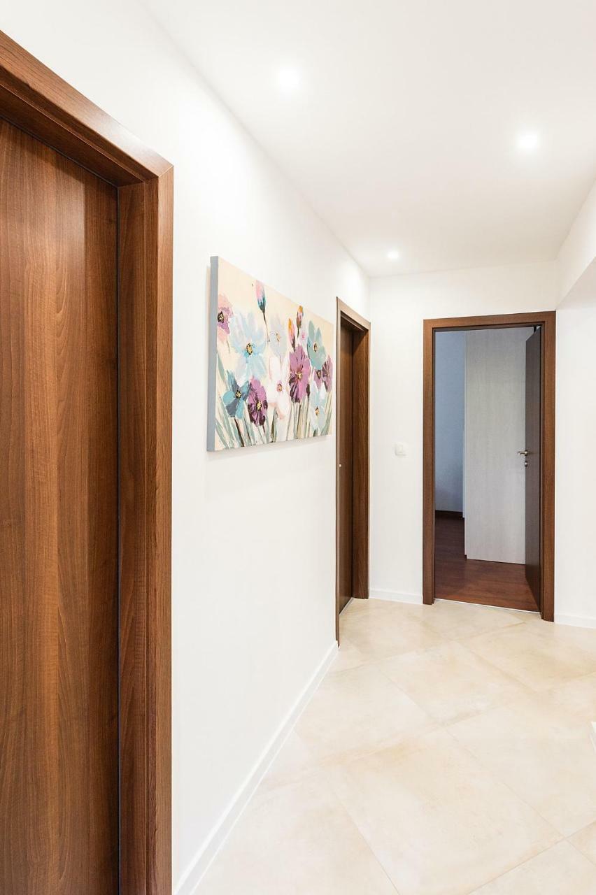 Apartment Auretta Novigrad Istria Eksteriør billede