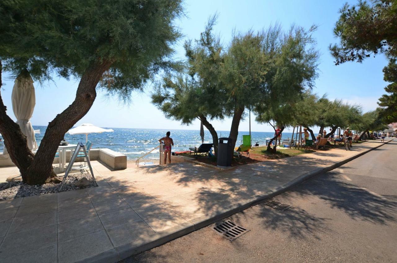 Apartment Auretta Novigrad Istria Eksteriør billede