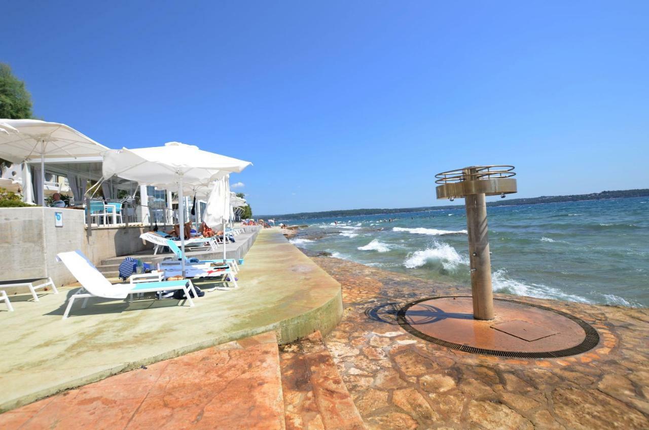 Apartment Auretta Novigrad Istria Eksteriør billede